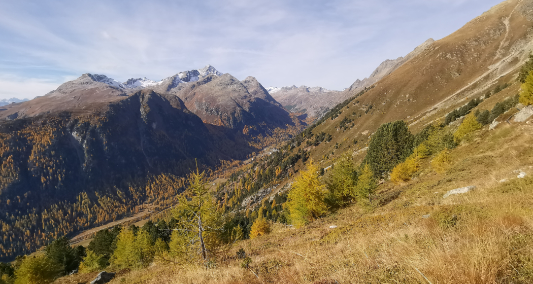 Crasta Mora Crasta Mora