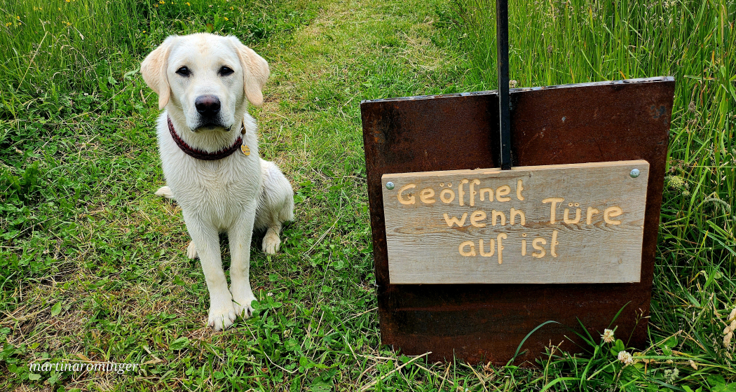 «Galleria Curtè» (oua_81874237_image)
