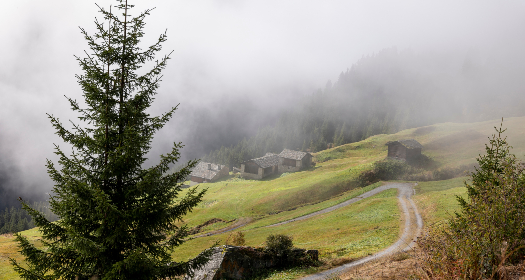 Gadastatt - Moos -Leis - Vals (oua_82026951_image) Gadastatt - Moos -Leis - Vals (oua_82026951_image)