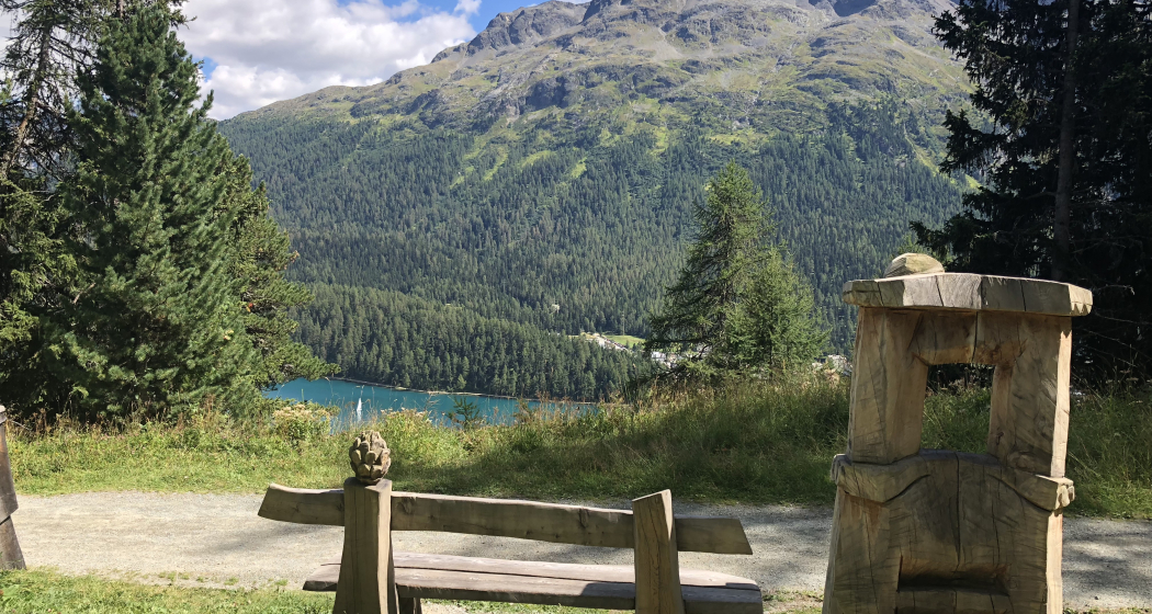 Sitzbank Schellenursliweg (oua_82357465_image) Sitzbank Schellenursliweg (oua_82357465_image)