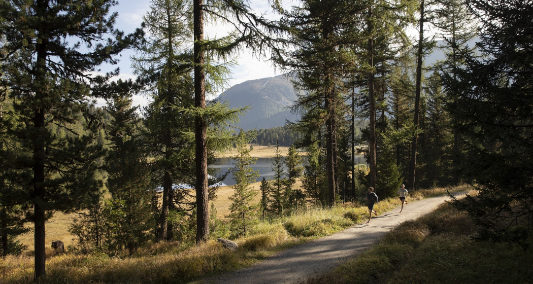 Vita Parcours St. Moritz (oua_82357980_image) Vita Parcours St. Moritz (oua_82357980_image)