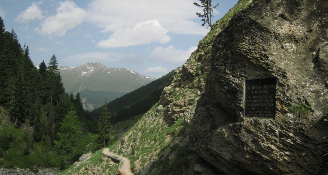 Gedenktafel Dr. Brunies Stefan (oua_82358495_image)