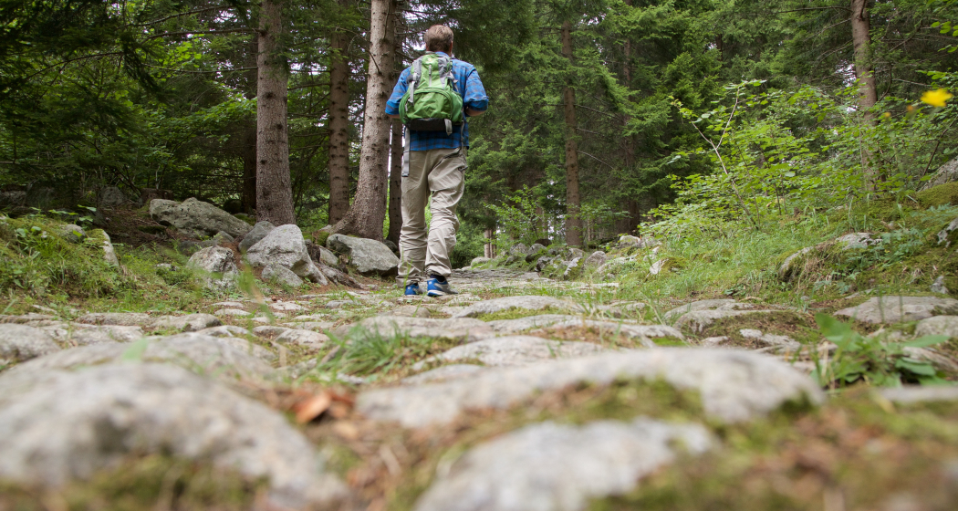 Malögin - Überbleibsel einer Römerstrasse (oua_82358617_image) Malögin - Überbleibsel einer Römerstrasse (oua_82358617_image)