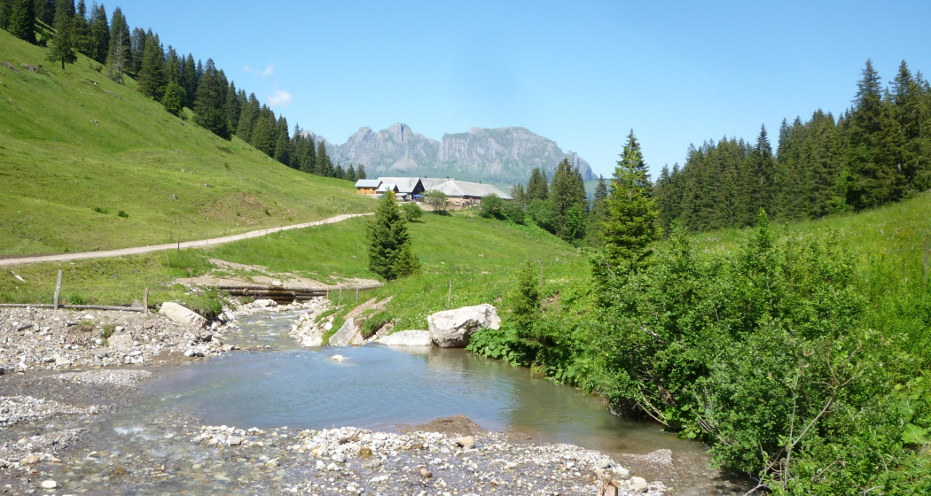 Alp Kohlschlag Alp Kohlschlag