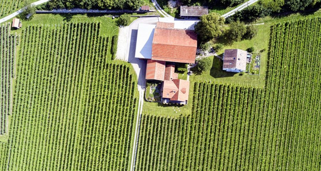 Weingut Ueli & Jürg Liesch