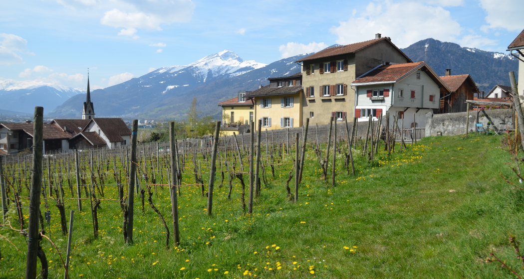 Haus Schmid, jetzt Fromm