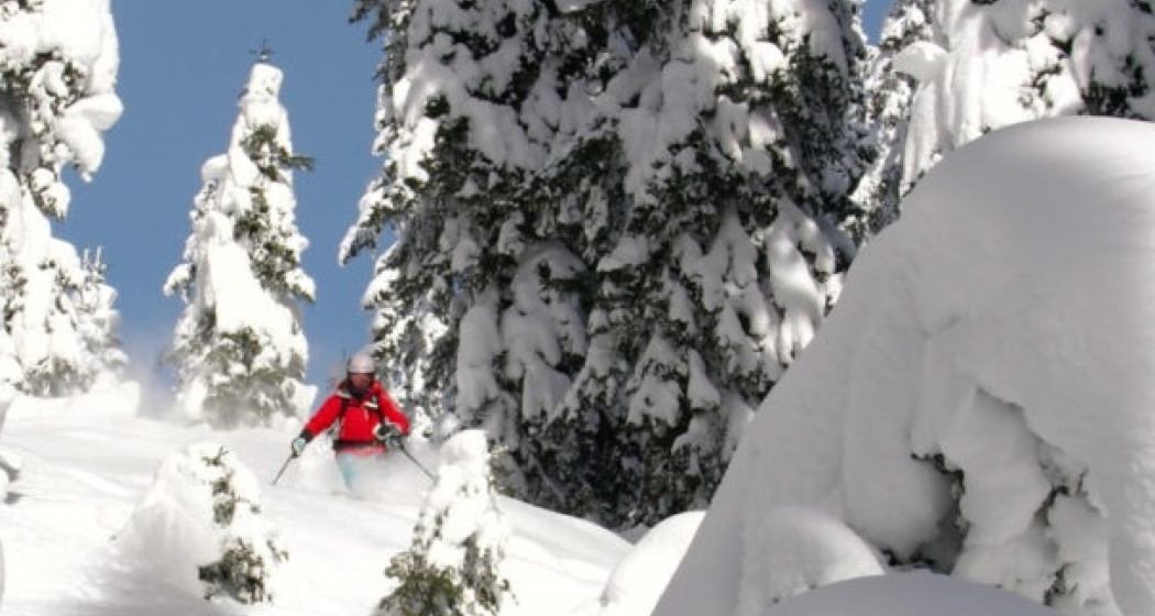 Berber Semmelink - Ski Academy Berber Semmelink - Ski Academy