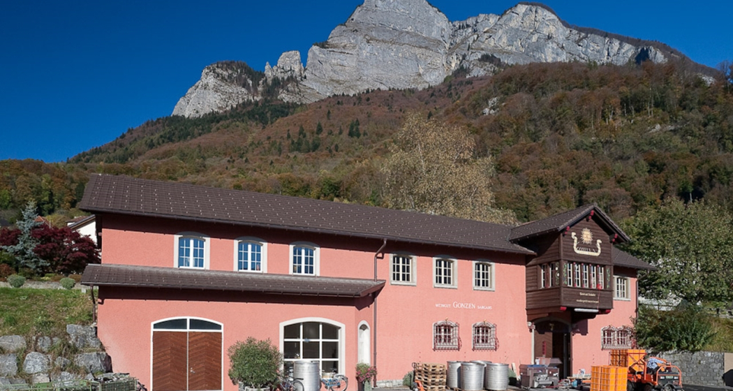 Weingut Gonzen Weingut Gonzen