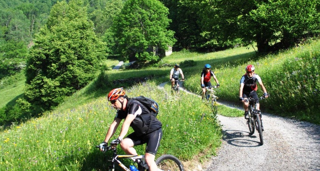 Mountain Bike Mountain Bike