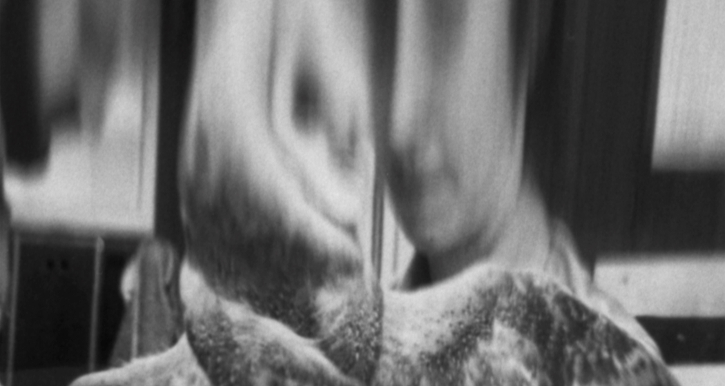 Galleria Monica de Cardenas (oua_82952916_image) Galleria Monica de Cardenas (oua_82952916_image)