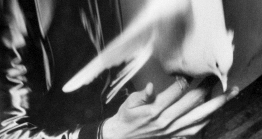 Galleria Monica de Cardenas (oua_82952917_image) Galleria Monica de Cardenas (oua_82952917_image)