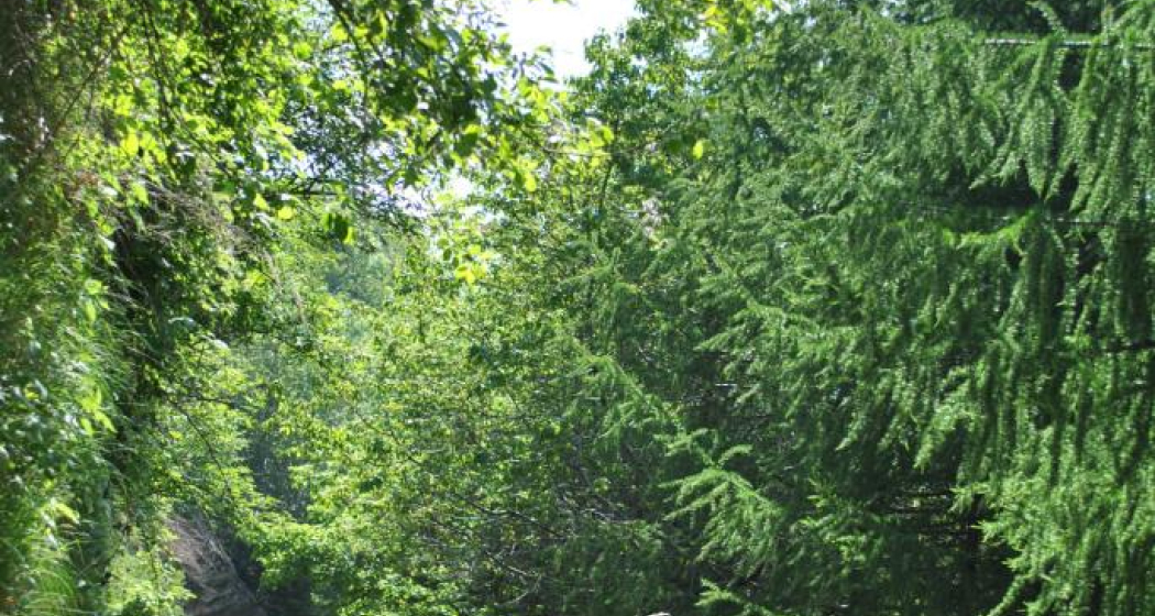 Mountain Bike Mountain Bike