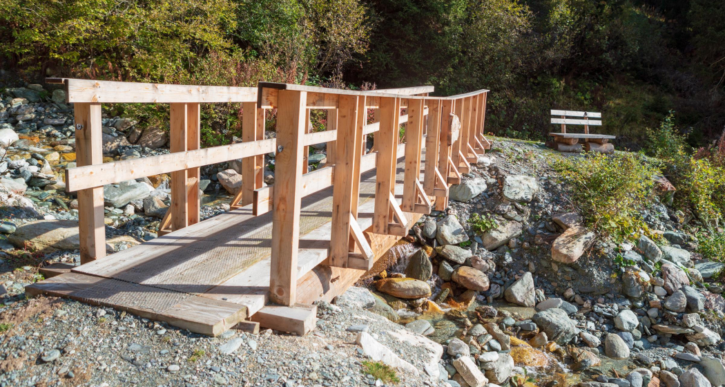 Alp Dadens (Segment) (oua_86013871_image)