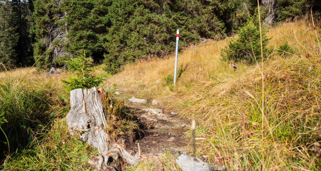 Alp Dadens (Segment) (oua_86013872_image)