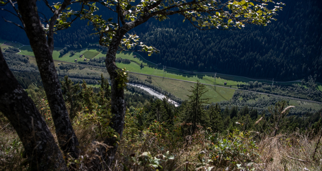 Flanz/Adlerstein Flanz/Adlerstein