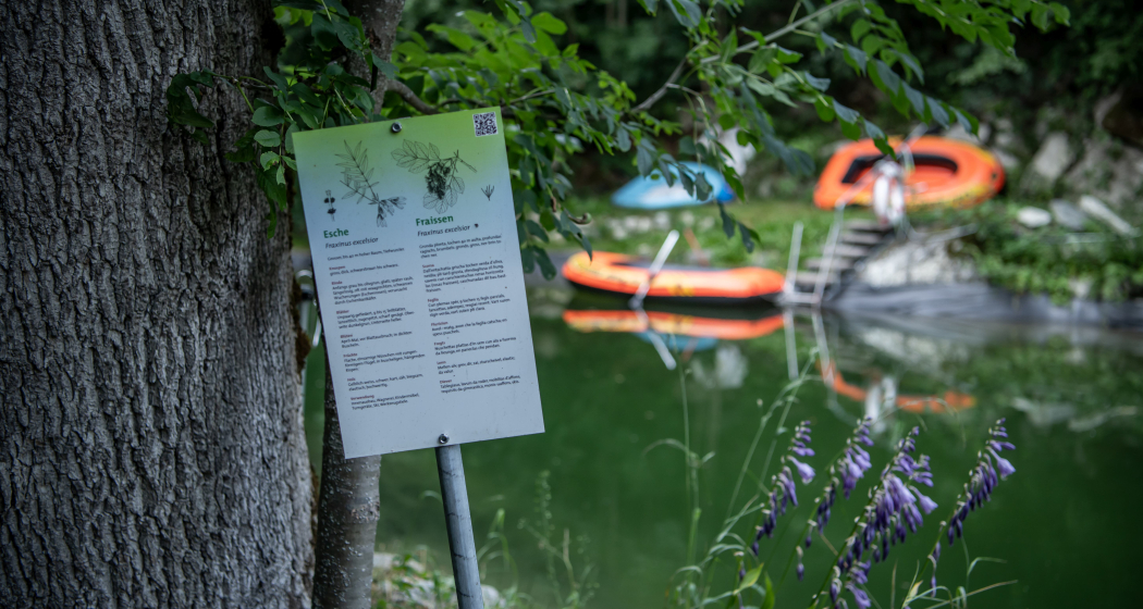 Waldlehrpfad "Mulin" in Schnaus (oua_86278391_image)