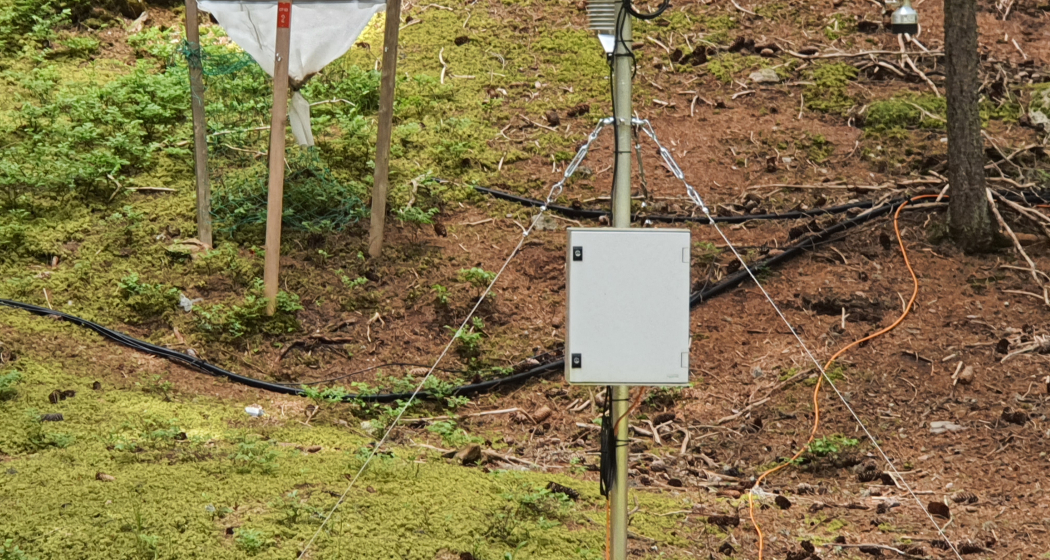 Forschung am Wegesrand: Wald und Umwelt (oua_86450534_image)