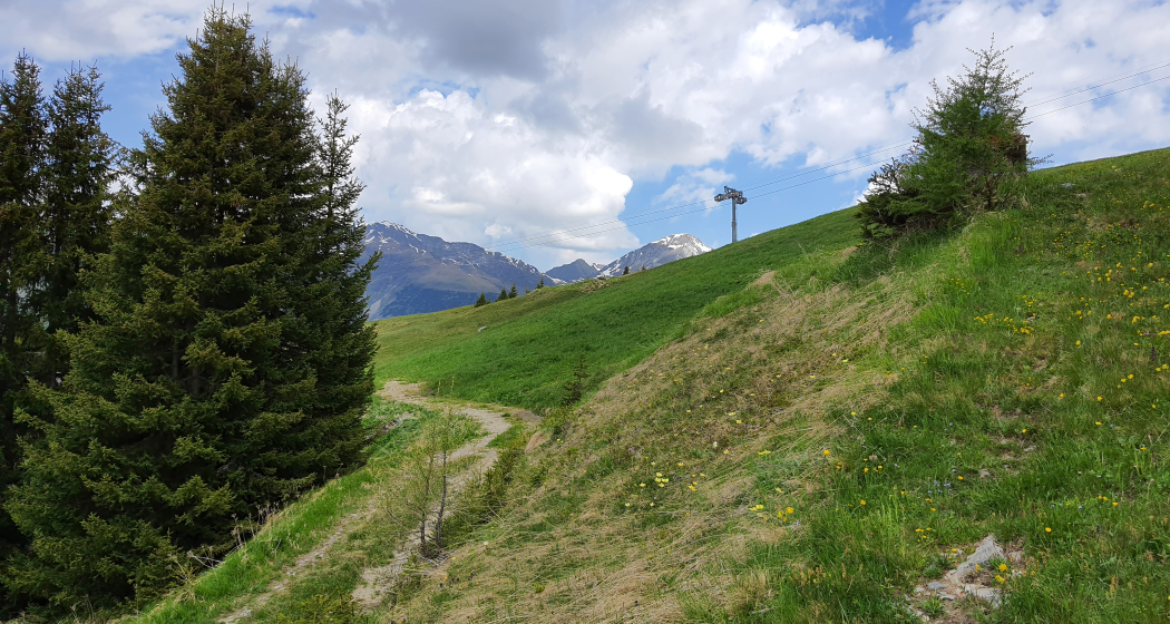 Forschung am Wegesrand: Die Biologenrunde (oua_86450794_image)