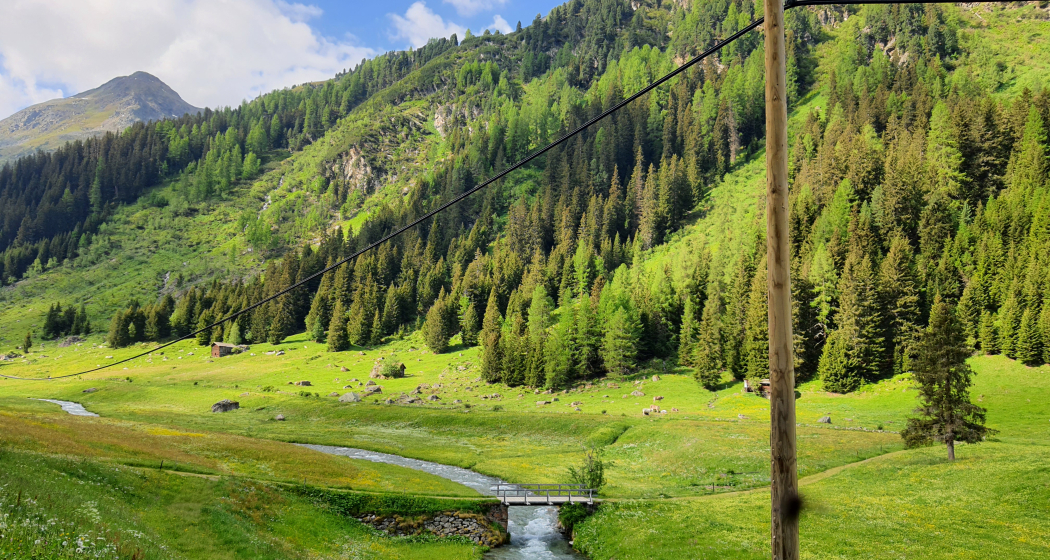 Forschung am Wegesrand: Die Biologenrunde (oua_86450795_image)