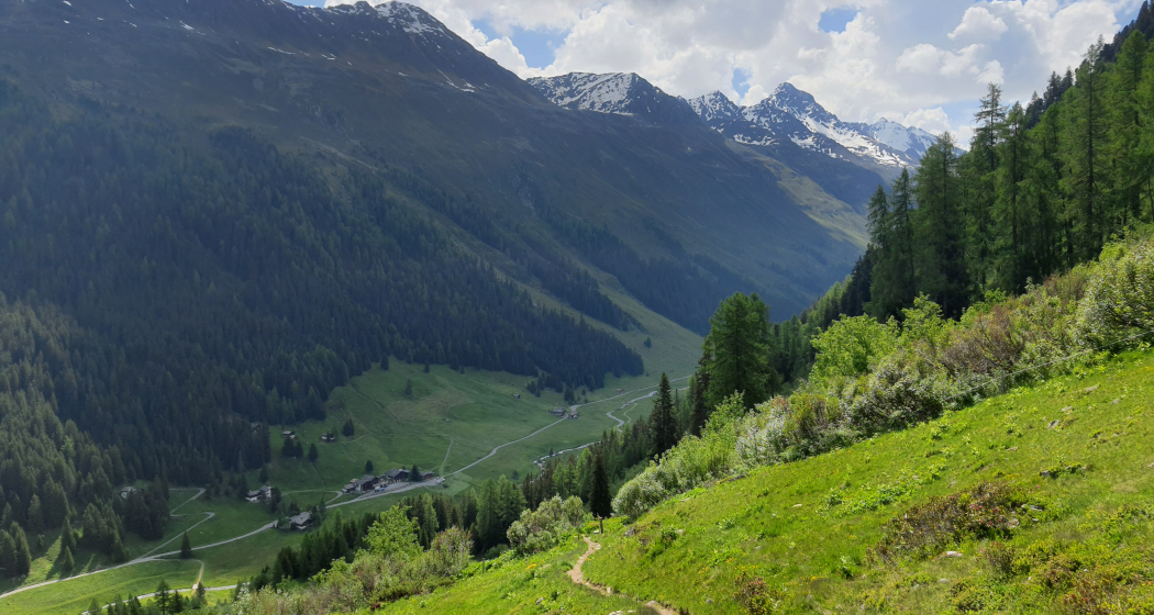 Forschung am Wegesrand: Die Biologenrunde (oua_86450796_image)