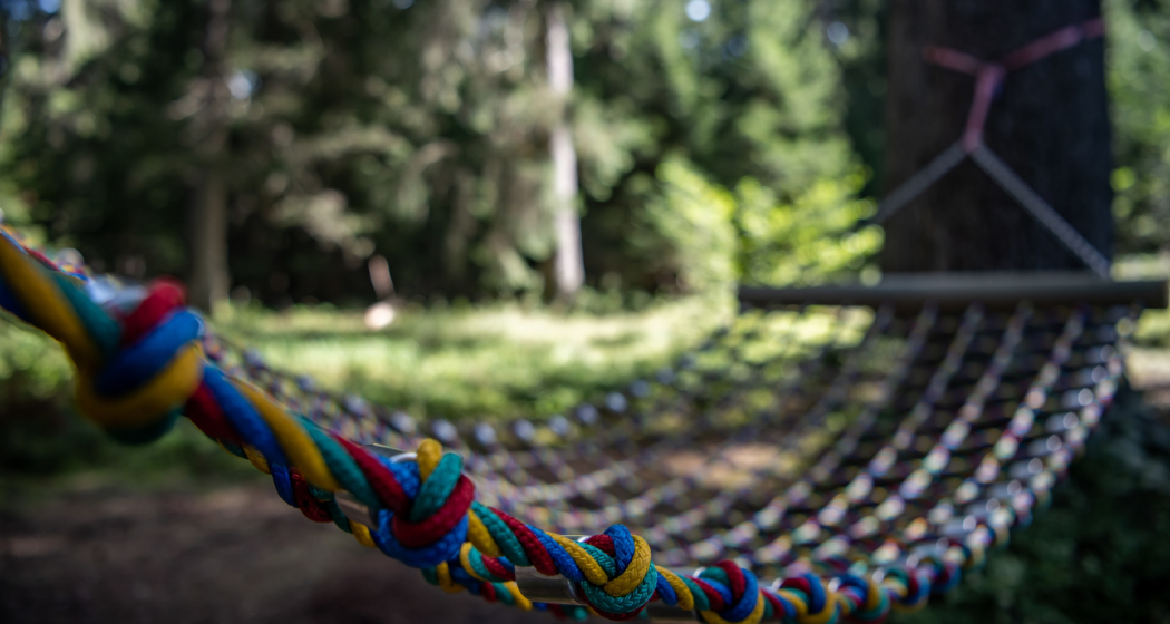 Hängemattenwald nähe Aussichtpunkt Flanz Hängemattenwald nähe Aussichtpunkt Flanz