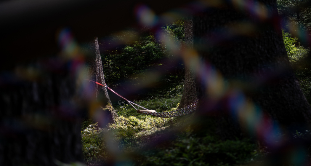 Hängemattenwald nähe Aussichtpunkt Flanz Hängemattenwald nähe Aussichtpunkt Flanz