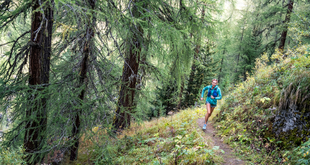 im Wald hoch im Wald hoch