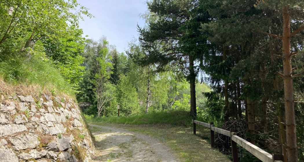 Wanderweg zwischen Rabius und Surrein Wanderweg zwischen Rabius und Surrein