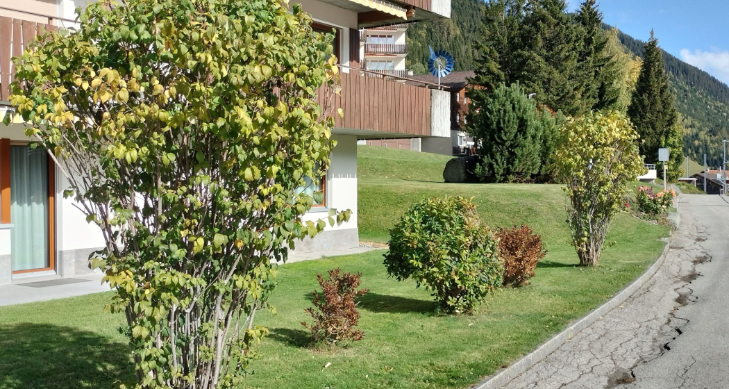 Tgèsa Gendusas Koch (oua_90822789_image)