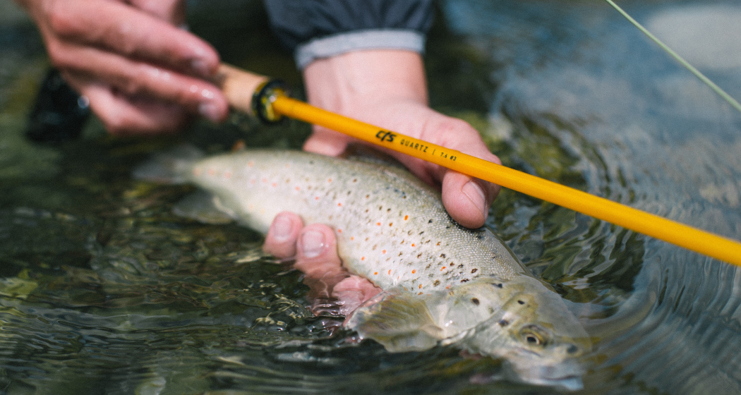 V-Stick Custom Flyrods (oua_90975424_image) V-Stick Custom Flyrods (oua_90975424_image)