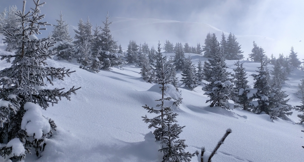 Seltener Nebel Seltener Nebel