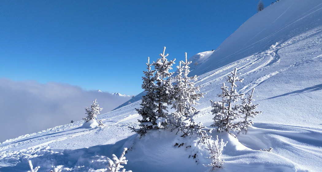 Unter dem steilen Gipfelhang der Cauma Unter dem steilen Gipfelhang der Cauma