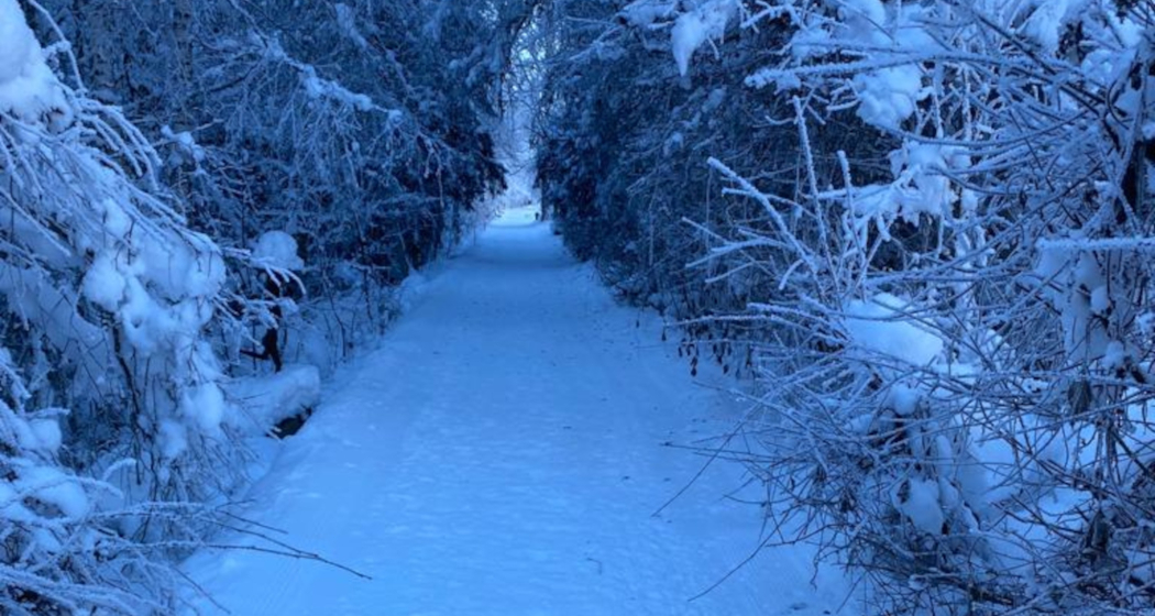 Aufnahme des Winterwanderwegs entlang dem Kunstpfad in Trun.