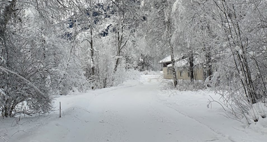 Aufnahme des Winterwanderwegs entlang dem Kunstpfad in Trun.