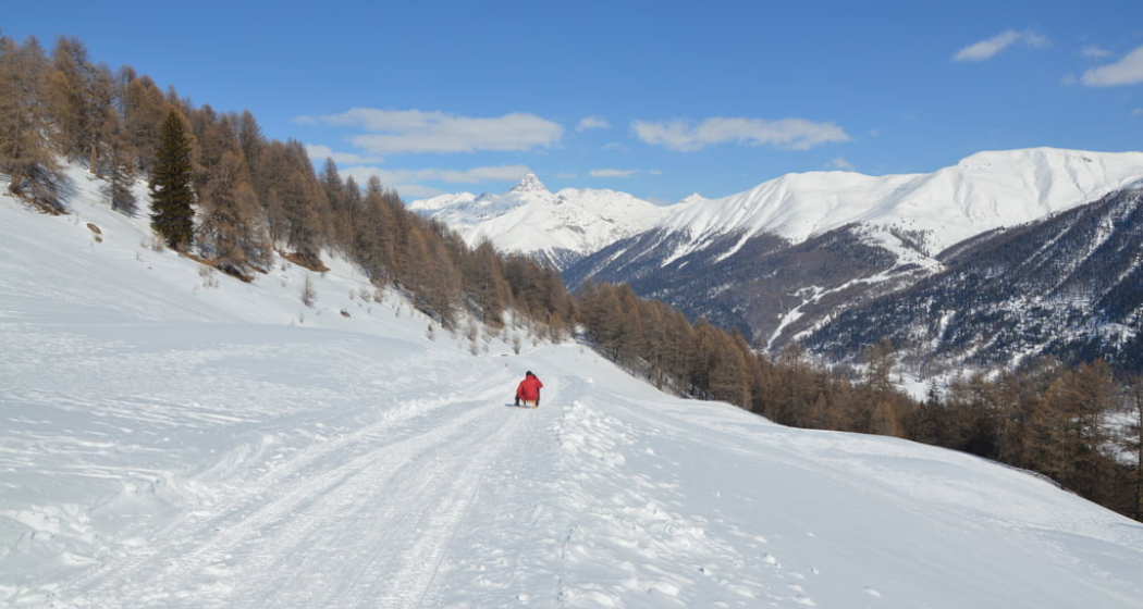 Schlittelweg von der Alp Es-cha Dadour Schlittelweg von der Alp Es-cha Dadour