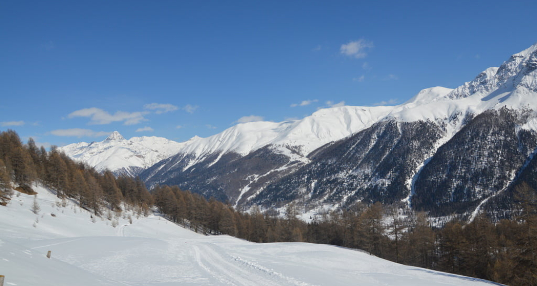 Schlittelweg von der Alp Es-cha Dadour Schlittelweg von der Alp Es-cha Dadour