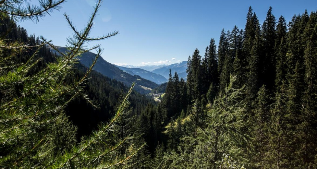 Aussicht nach Langwies Aussicht nach Langwies