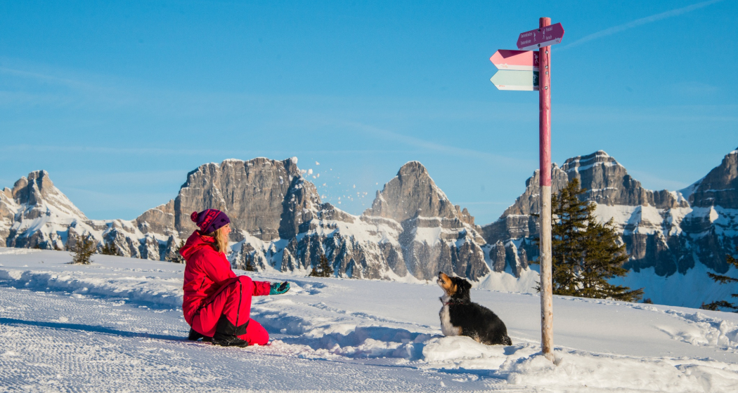 Winterwandern Cafrida - Prodalp Winterwandern Cafrida - Prodalp
