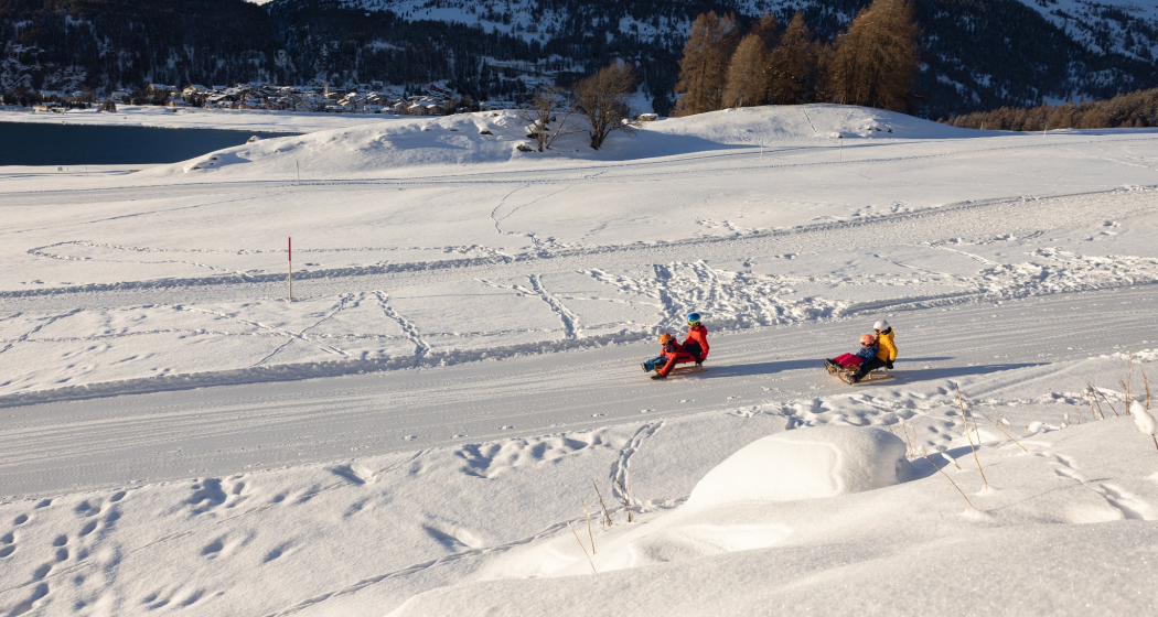 Schlittelweg Surlej Schlittelweg Surlej