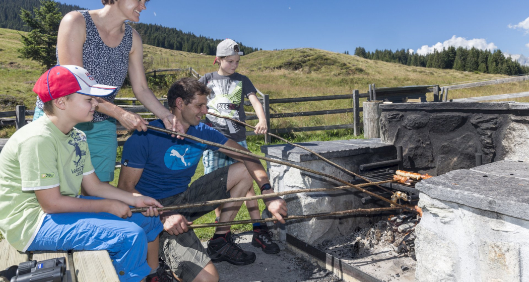Die Feuerstelle mit Feuerholz beim Sassli. Mit WC