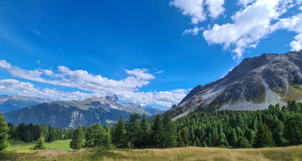 Munter - Ziteil - Cre digl Lai (oua_93999390_image) Munter - Ziteil - Cre digl Lai (oua_93999390_image)