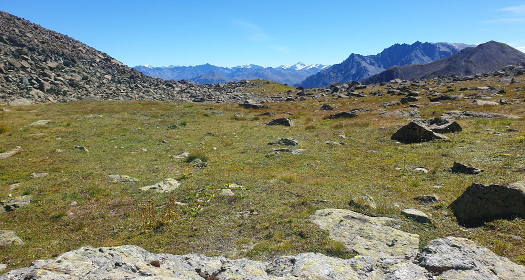 Quellentrail Alp Trida (oua_94587134_image)