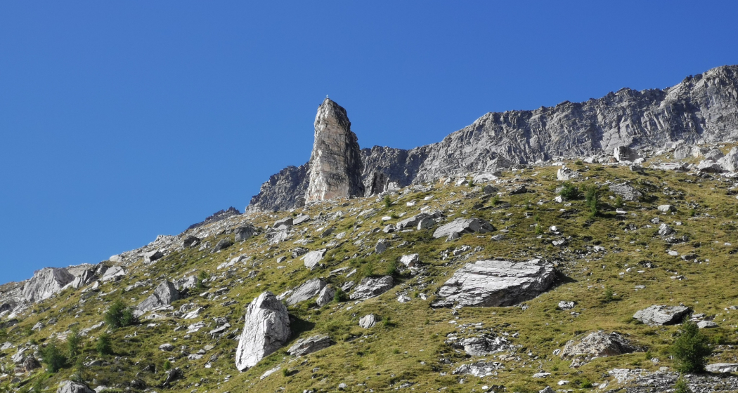 Selva - Cancian Selva - Cancian