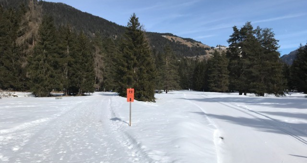 Sur En – Ramosch (oua_96082788_image) Sur En – Ramosch (oua_96082788_image)