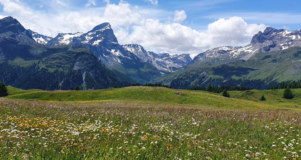 Alp Flix - Moorlandschaft von nationaler Bedeutung (Bivio - Savognin, Teilstück Via Sett) (oua_96119283_image) Alp Flix - Moorlandschaft von nationaler Bedeutung (Bivio - Savognin, Teilstück Via Sett) (oua_96119283_image)