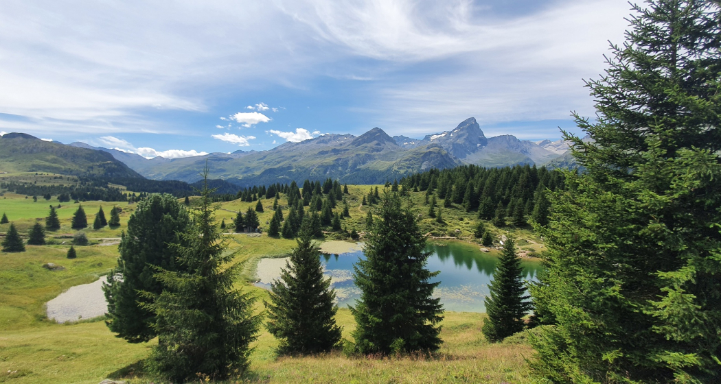 Alp Flix - Moorlandschaft von nationaler Bedeutung (Bivio - Savognin, Teilstück Via Sett) (oua_96119297_image) Alp Flix - Moorlandschaft von nationaler Bedeutung (Bivio - Savognin, Teilstück Via Sett) (oua_96119297_image)