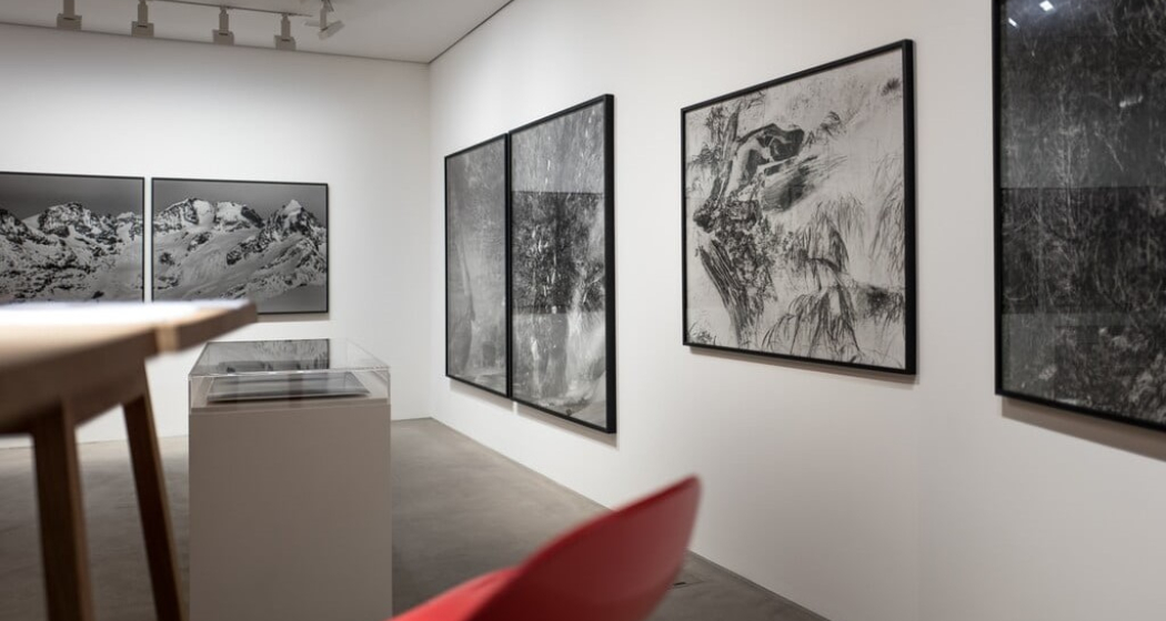 plattner & plattner Art Gallery (oua_96226291_image) plattner & plattner Art Gallery (oua_96226291_image)