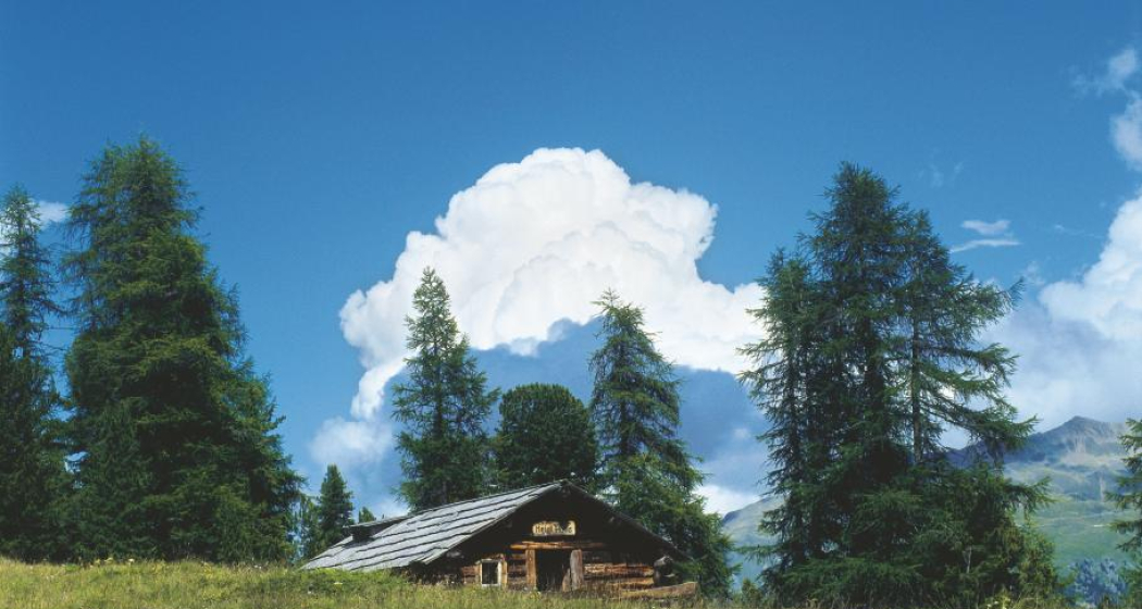 30.04 S-chanf - Pontresina, ViaValtellina (oua_9675062_image) 30.04 S-chanf - Pontresina, ViaValtellina (oua_9675062_image)