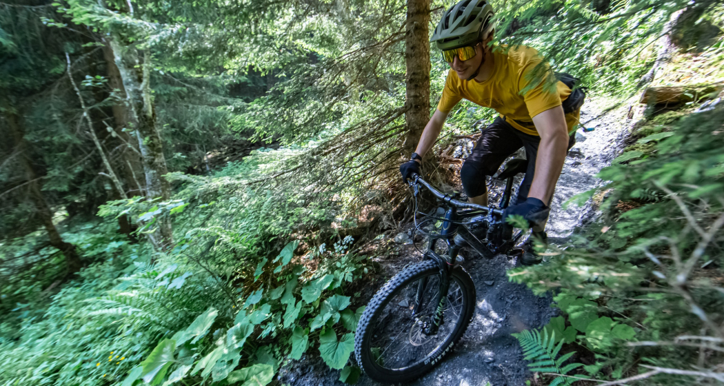Biker auf dem Singletrail Biker auf dem Singletrail