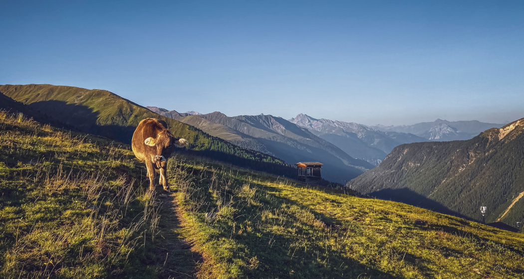 Rinerhorn - Hubelhütte - Äbirügg - Rinerhorn (oua_98307291_image) Rinerhorn - Hubelhütte - Äbirügg - Rinerhorn (oua_98307291_image)